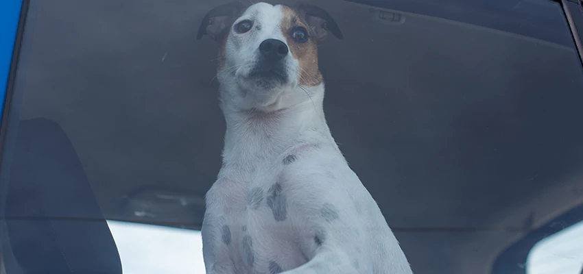 Car Lockout Solutions in California City, California